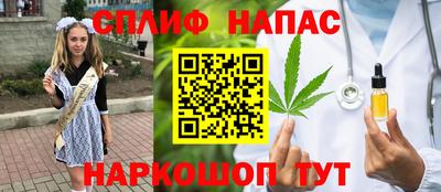 СК Сланцы