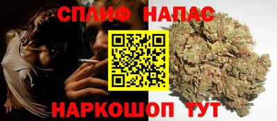 СК Сланцы