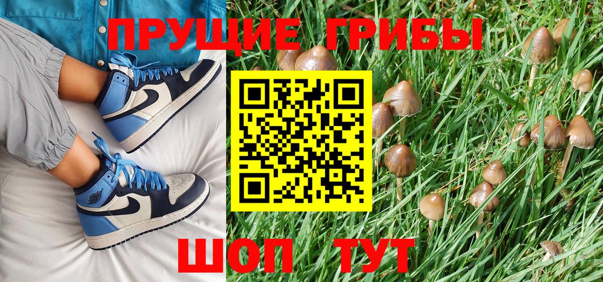 Галлюциногенные грибы GOLDEN TEACHER Новый Уренгой