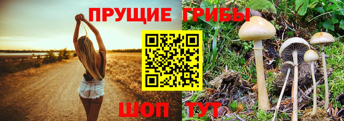 Галлюциногенные грибы ЛСД  Вход с VPN  Псилоцибиновые грибы Magic Shrooms  Новый Уренгой 